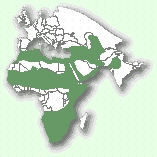 Каракал: мапа поширення