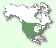 Мапа територій рудої рисі