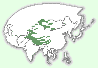 Мапа територій снігового барса