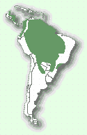 Мапа територій ягуара
