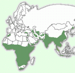 Мапа територій леопарда