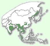 Мапа територій тигра