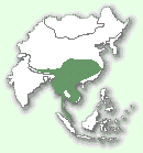 Мапа територій димчастого леопарда